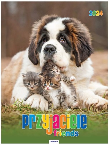 Przejdź do produktu Kalendarz AV przyjaciele 2024