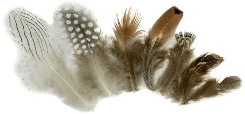 Przejdź do produktu Piórka 3-8 cm, 24szt. Mix kolorów, P-2519, Aliga