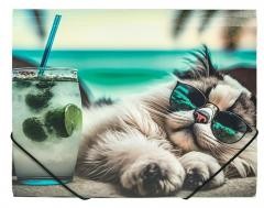 Przejdź do produktu Teczka z gumką A4 PP Chillout Cat, Panta Plast