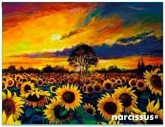 Przejdź do produktu NARCISSUS TECZKA KOPERTOWA PP A6 SŁONECZNIKI VISTA