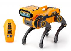 Przejdź do produktu ROBO EXPRESS