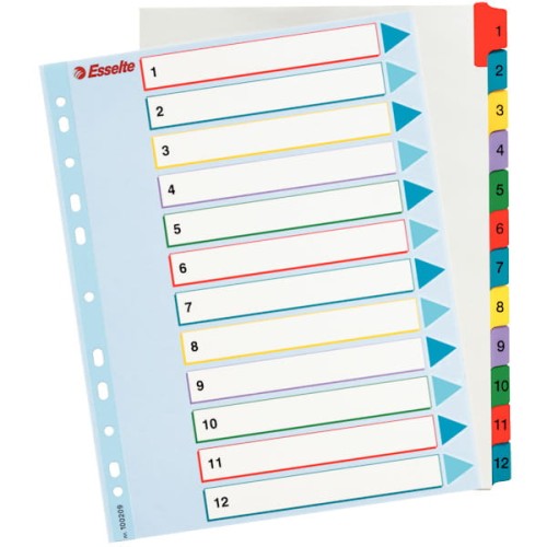Przejdź do produktu PRZEKŁADKI ESSELTE 1-12 A4 MYLAR