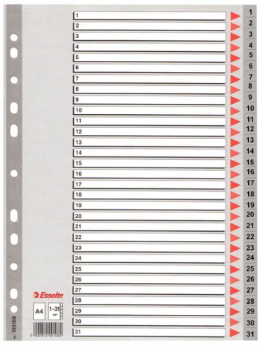 Przejdź do produktu PRZEKŁADKI ESSELTE 1-31 A4 PP SZARE