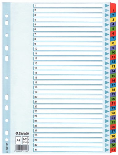 Przejdź do produktu PRZEKŁADKI ESSELTE 1-31 A4 MYLAR KO