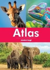 Przejdź do produktu Atlas zwierząt - Marta Kępa