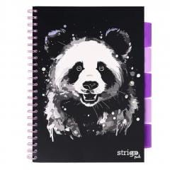 Przejdź do produktu Kołonotes Project Book A4 Panda Czarny 100k linia 80g, Strigo