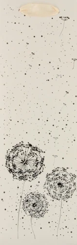 Przejdź do produktu TOREBKA OZD 120X360 TP6 153 FOL A 10
