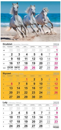 Przejdź do produktu Kalendarz trójdzielny 2024 T-106T-04, Michalczyk i Prokop