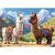 13356_150_02.webp