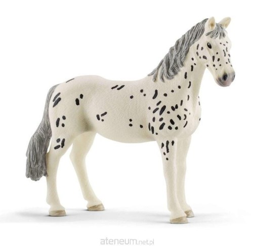 Przejdź do produktu SCHLEICH_FIG_HORSE CLUB_KOŃ KNABSTRUPPER KLACZ 20'