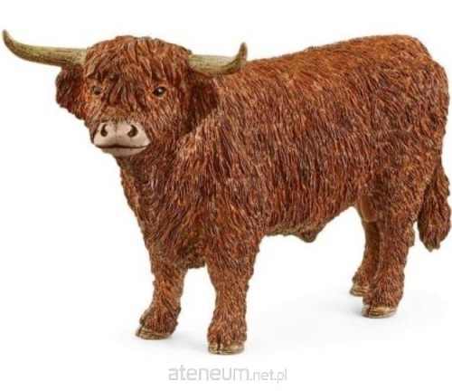 Przejdź do produktu SCHLEICH_FIG_FARM WORLD_HIGHLAND BULL
