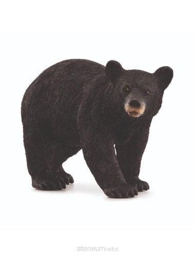 Przejdź do produktu SCHLEICH_FIG_WILD LIFE_NIEDŹWIEDŹ CZARNY
