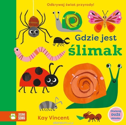 Przejdź do produktu Gdzie jest ślimak?