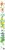 309b63b4210a4c8dd3e1114c0b0e11f1