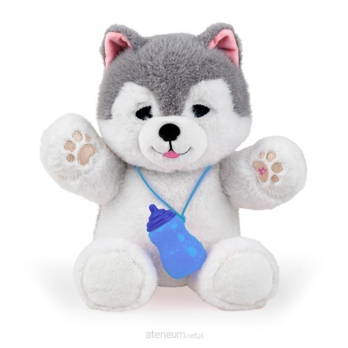Przejdź do produktu PIESEK HUSKY