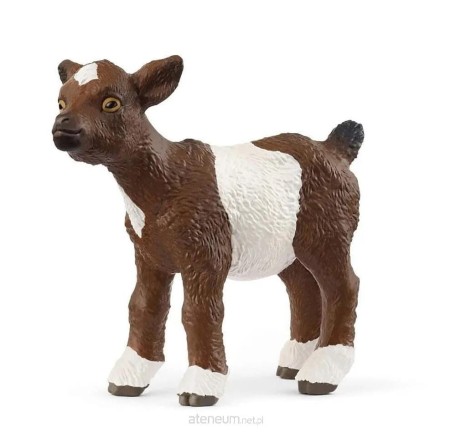 899ec890308fc52eb9382915956117e6