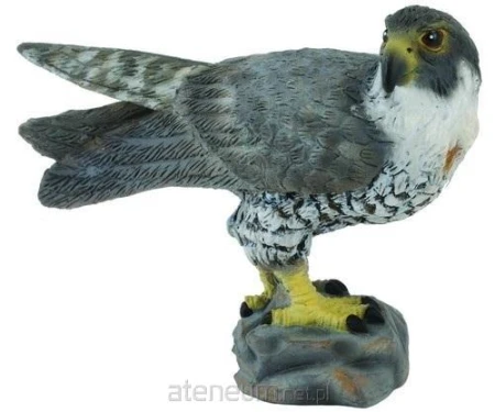c612140deac202245dc16e1c8a55887d