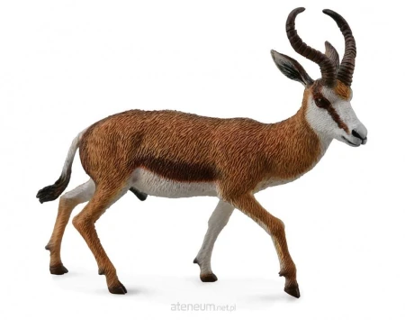 3d3a12550c061579832b708d5ce0d1ff