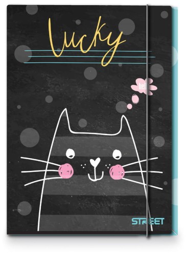 Przejdź do produktu Teczka z gumką MY CAT A4 1cm