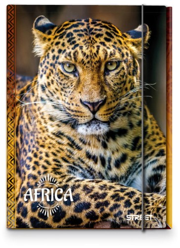 Przejdź do produktu Teczka z gumką Africa A4 1cm Calibra