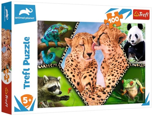 Przejdź do produktu Puzzle 100el Piękno natury. Discovery Animal Plane