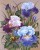 82392fd00412a999ed644bf67bb565e0