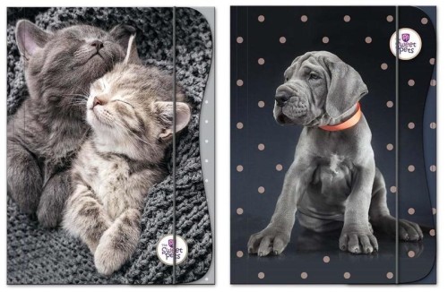 Przejdź do produktu Teczka z gumką A4 The Sweet Pets 110565, Beniamin