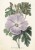 2620dccdab0a8db2eb875c0fcd29dd2b