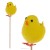 ff2d39f59a0823dbfbd8f22bea2e3c43