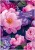 5b0406065947ff2e70809dbdc9682f40