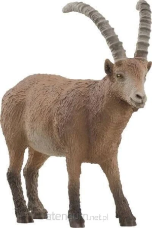 215177836f2c66e8461315b46ef293fe