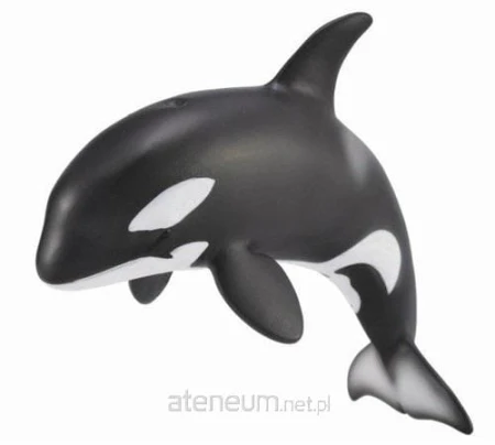 0c765307014b57c2f4e1d5ec8a84af2d