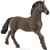 1c1bb3270d2b2d5b517906ebbe6a21fc