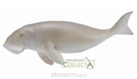 2267d00031727f0b744743ad21002149
