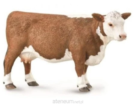 56935270a78f75e051094b79408039d1