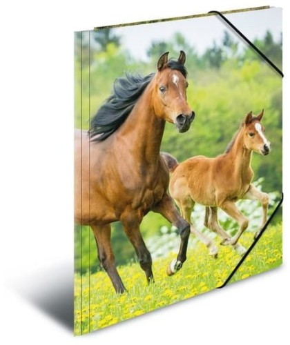 Przejdź do produktu Teczka z gumką A4 plastikowa Konie, Herma