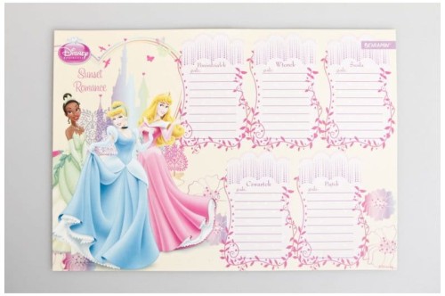 Przejdź do produktu PLAN LEKCJI Z MAGNESEM PRINCESS 600336
