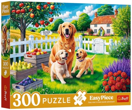 965d02034d9debd656d88d6a36e9ac95