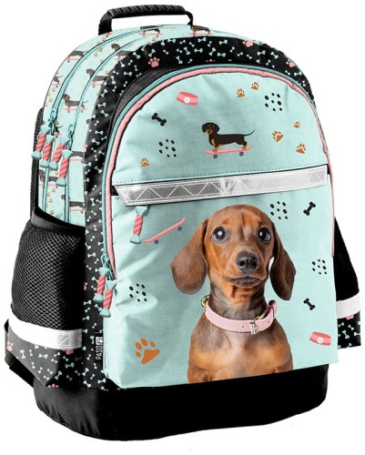 Przejdź do produktu Plecak Dog PP25JA-116, Paso