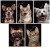 60fbce3d093e88b1a30456a64e5f76a7