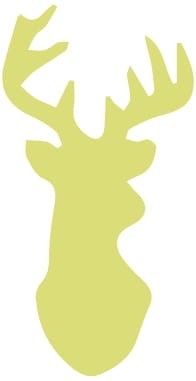 552f312f2e700bab0fa2dc094c274345
