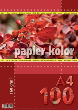 PAPIER KS.A4 100 160G ZIELONY KRESK.jpg