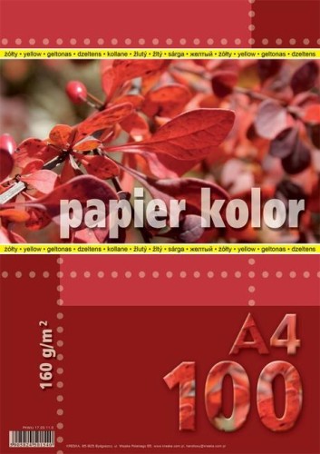 Przejdź do produktu PAPIER KS.A4/100 160G ZIELONY KRESK