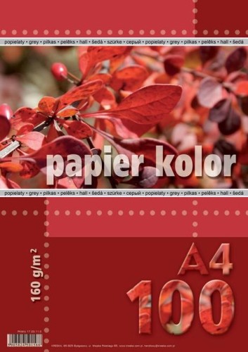 Przejdź do produktu PAPIER KS.A4/100 160G POPIEL KRESKA