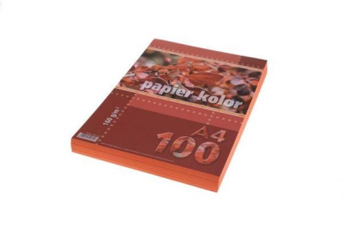 Przejdź do produktu PAPIER KS.A4/100 160G POM.KRE