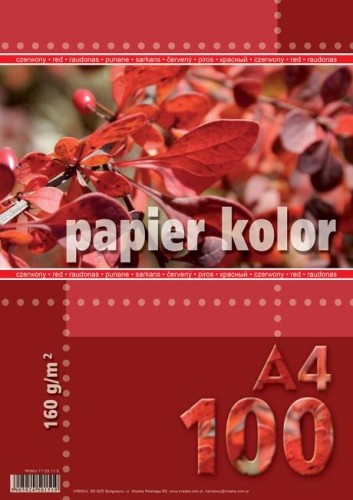 Przejdź do produktu PAPIER KS.A4/100 160G CZERWONY KRES