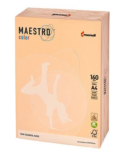 Przejdź do produktu PAPIER KS.A4 160G SA24 ŁOSOSIOWY