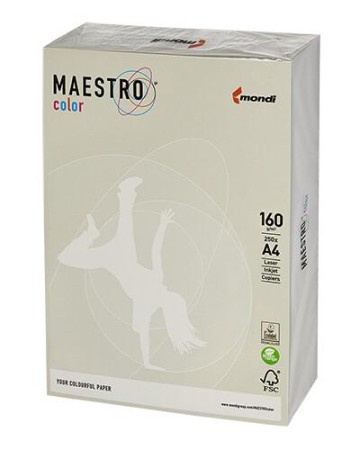PAPIER KS.A4 160G GR21 SZARY.jpg