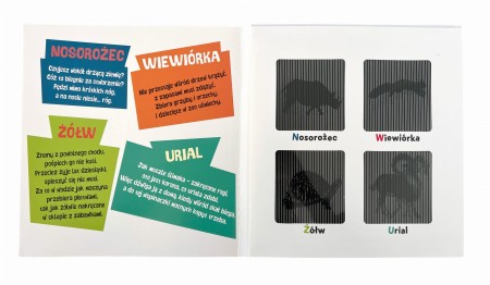 Wnetrze-ksiazki-Zoo-z-wierszykami-oraz-ilustracjami-zwierzat-nosorozca,-wiewiorki,-zolwia-i-uriala,-ktorymi-mozna-poruszyc.webp