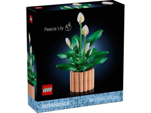 Przejdź do produktu LEGO(R) BOTANICALS 11504 Skrzydłokwiat